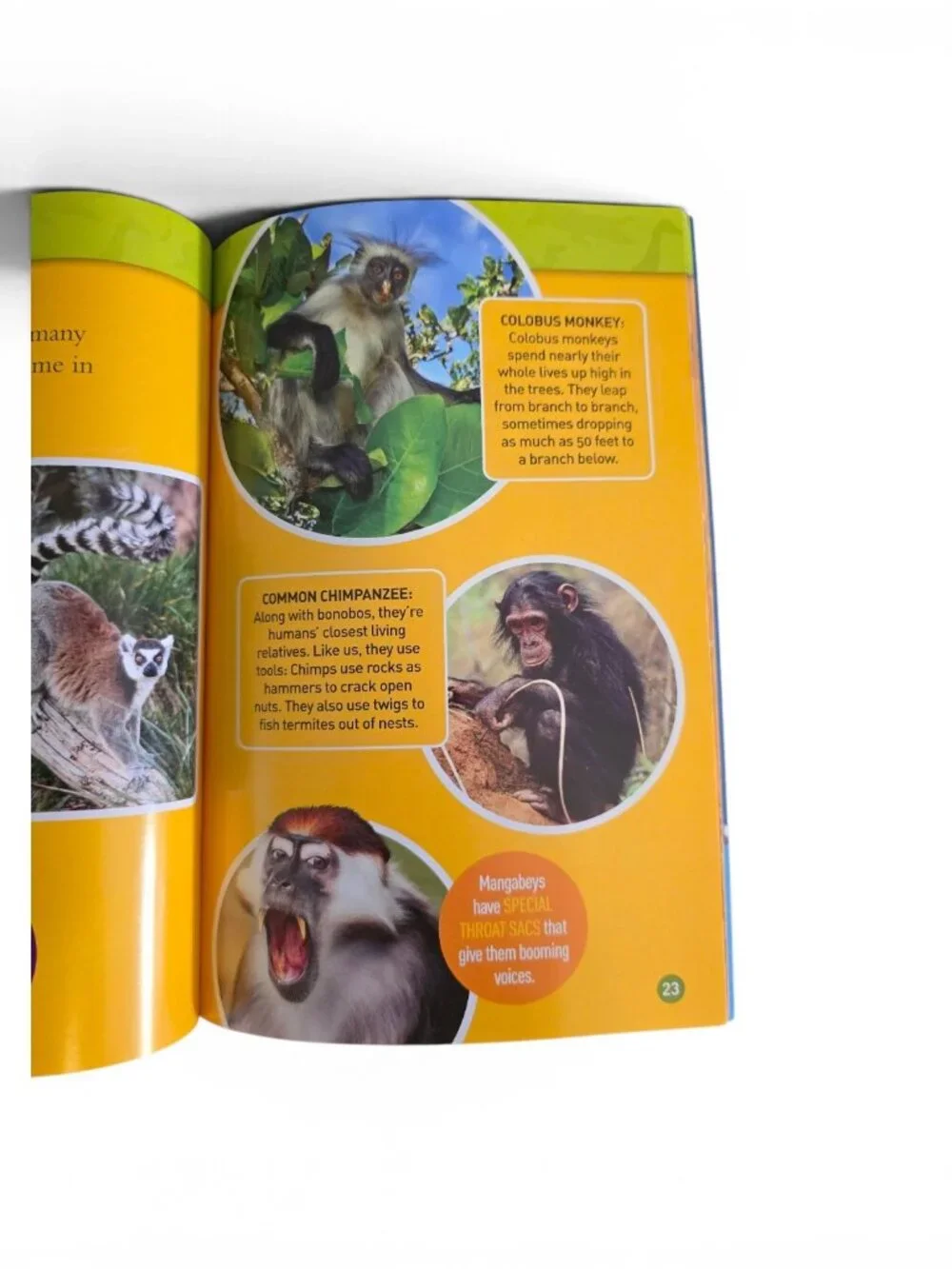 National Geographic Kids Book Lot 4 Angry Birds Weird But True History Roar